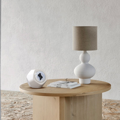 Creative audio ornament with magnetic fluid