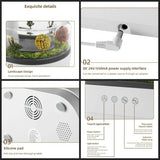 micro-landscape aroma diffuser Humidifier - EASYBUY