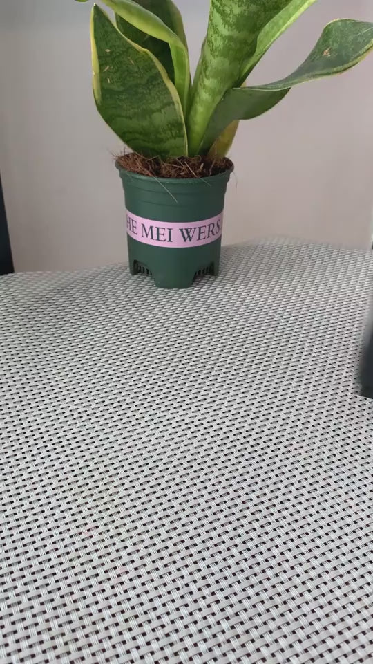 TWS Bone Conduction Speaker Hummingbird design -AS EASYBUY