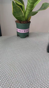 TWS Bone Conduction Speaker Hummingbird design -AS EASYBUY