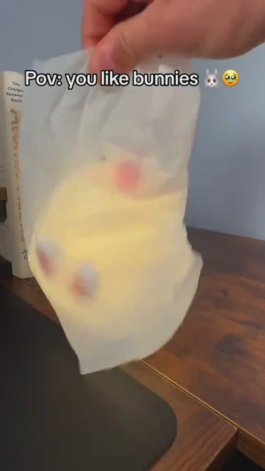 Cute LED Night Light Touch Sensor