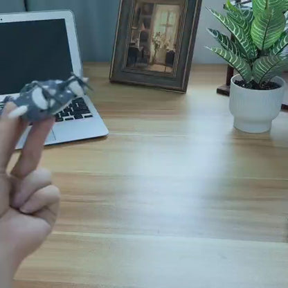 Tiger cat magnetic levitation small aircraft (nikolatoy airplane)